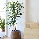 Sunny Vibes & Balcony With Pool Appartement *