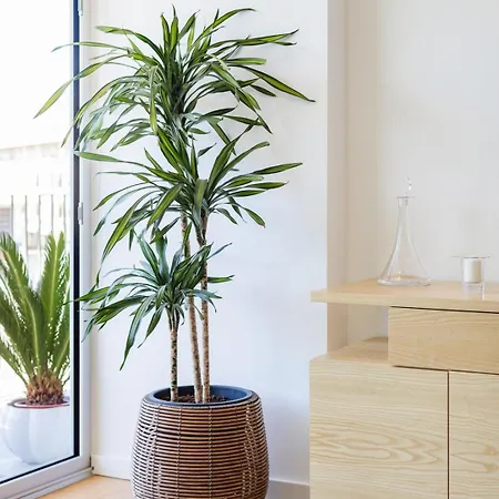 Sunny Vibes & Balcony With Pool شقة *