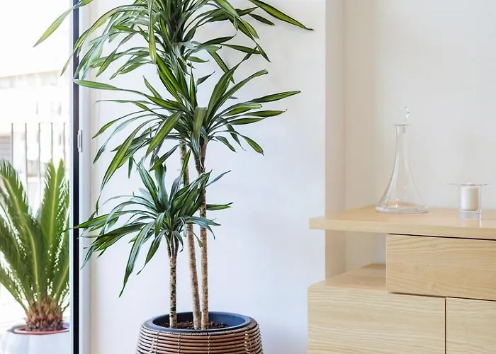 Sunny Vibes & Balcony With Pool Apartament *