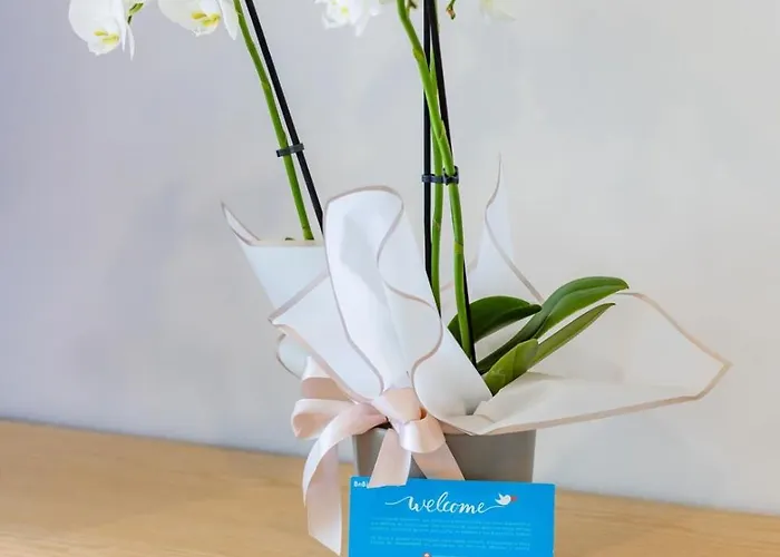 Sunny Vibes & Balcony With Pool Apartamento *